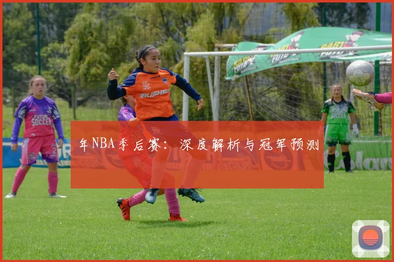年NBA季后赛:深度解析与冠军预测